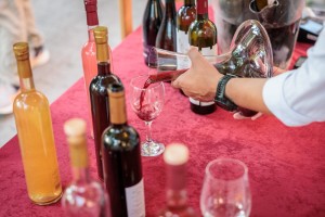 Vinski i gastro festival „Tajne neispričanih kapi“ 2025 - prvi dan