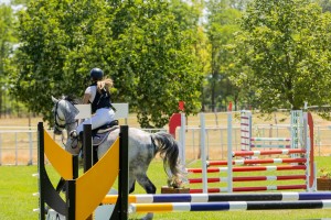 Takmičenje u preponskom jahanju