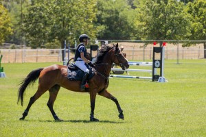 Takmičenje u preponskom jahanju