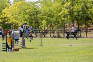 Takmičenje u preponskom jahanju