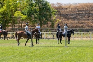 Takmičenje u preponskom jahanju