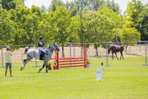 Takmičenje u preponskom jahanju