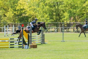 Takmičenje u preponskom jahanju