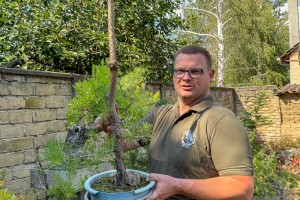 Bonsai - više od ukrasnog drvca u saksiji