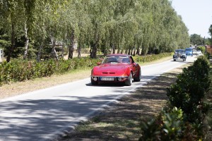 Izložba oldtajmera na ergeli "Kelebija"