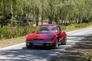 Izložba oldtajmera na ergeli "Kelebija"