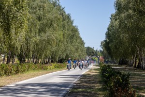 Izložba oldtajmera na ergeli "Kelebija"