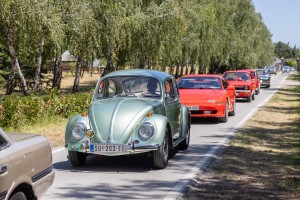 Izložba oldtajmera na ergeli "Kelebija"