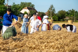 Takmičenje risara u Đurđinu