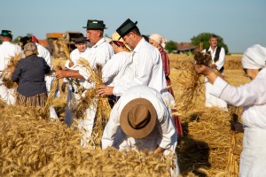 Takmičenje risara u Đurđinu