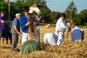 Takmičenje risara u Đurđinu