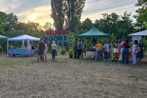 Prvi seoski noćni bazar u Ljutovu