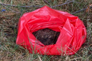 Divlja deponija na Bajskom putu (prema Ljutovu i Tavankutu)