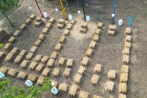 XVI Seoske igre bez granica