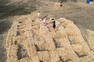 XVI Seoske igre bez granica