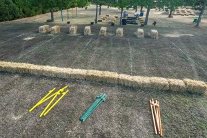 XVI Seoske igre bez granica