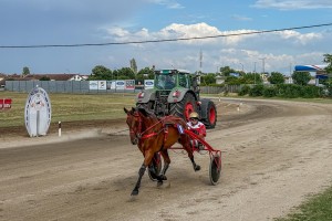 Konjičke trke - "Dužijanca 2025"