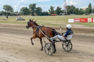 Konjičke trke - "Dužijanca 2025"
