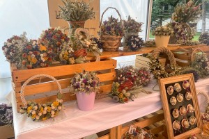 Dekoracije od suvog cveća