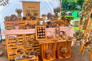 Dekoracije od suvog cveća