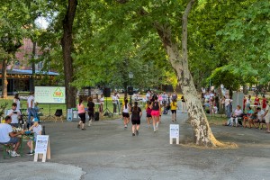 Obeležavanje Međunarodnog dana mladih