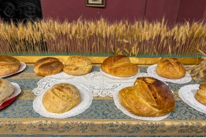 Izložba najlepše pečenog somuna, predstavljanje bandaša i bandašice i promocija knjige