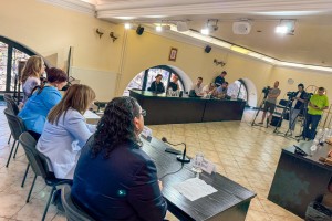 Najava programa obeležavanja Dana grada