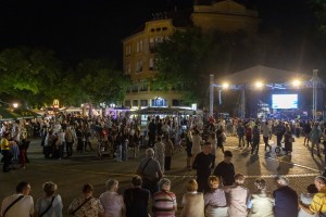 Koncert Nebojše Vojvodića povodom Dana grada