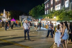 Koncert Nebojše Vojvodića povodom Dana grada