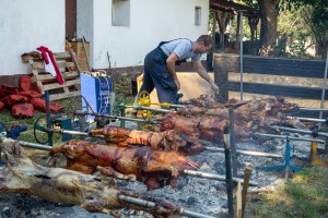 Festival domaće hrane u Višnjevcu