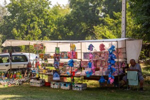 Festival domaće hrane u Višnjevcu