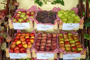 Palić slavi plodove jeseni – 35. „Berbanski dani“