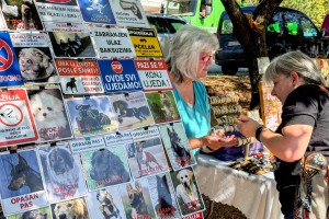 Berbanski dani u Hajdukovu