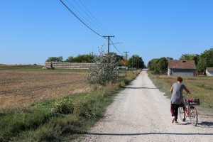 Izgradnja atarskog puta kod Donjeg Tavankuta