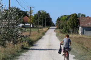 Izgradnja atarskog puta kod Donjeg Tavankuta