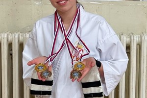 Kup Vojvodine u karateu - Feketić