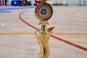 Kup Vojvodine u karateu - Feketić