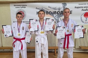 Kup Vojvodine u karateu - Feketić