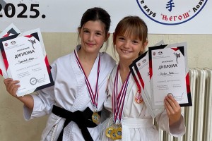 Kup Vojvodine u karateu - Feketić