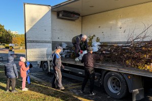Sadnja zelenila u Parku Prozivka