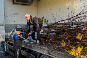 Sadnja zelenila u Parku Prozivka