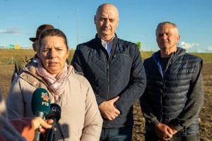 Tradicionalno sejanja stare sorte žita bankut na salašu porodice Babičković