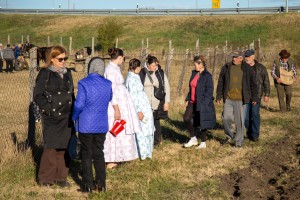 Tradicionalno sejanja stare sorte žita bankut na salašu porodice Babičković