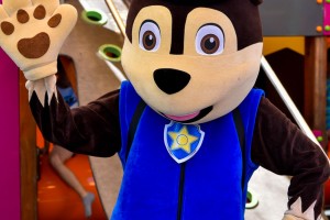 "SU maskote" - za dečju radost i osmehe