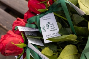 Cvećara „Studio Verde“ (Ištvana Sečenija 3)