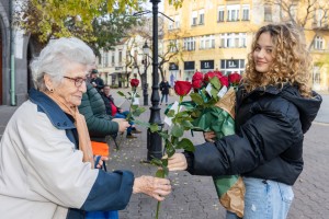Cvećara „Studio Verde“ (Ištvana Sečenija 3)