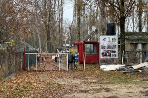 Dan SFRJ - 29. novembar: polaganje venaca na spomenik Josipu Brozu Titu