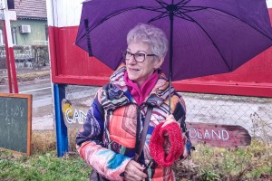 Dan SFRJ - 29. novembar: polaganje venaca na spomenik Josipu Brozu Titu