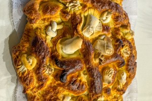 Izložba božićnjaka