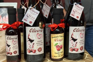 Božićna izložba Centra za kulturu Bunjevaca